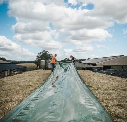 bache densilage trio2